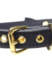 Golden Kitty Collar With Cat Bell - Black/Gold