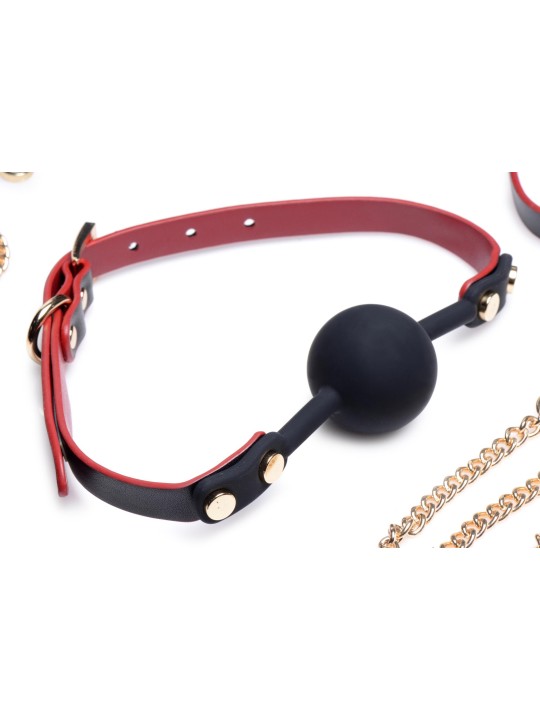 Master Series - Luxury BDSM Set With Travel Bag