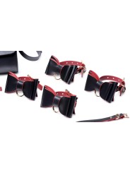 Master Series - Luxury BDSM Set With Travel Bag