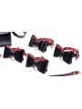 Master Series - Luxury BDSM Set With Travel Bag