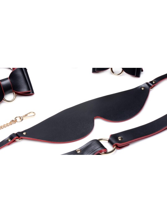 Master Series - Luxury BDSM Set With Travel Bag