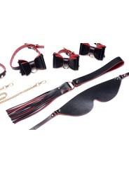 Master Series - Luxury BDSM Set With Travel Bag
