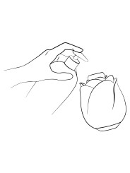 ROMP by Womanizer - Rose Luchtdrukvibrator - Roze