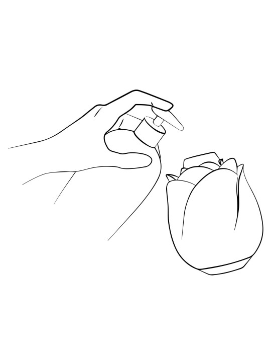 ROMP by Womanizer - Rose Luchtdrukvibrator - Roze