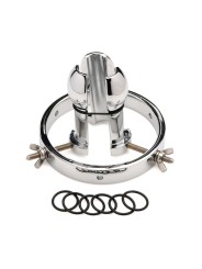 Master Series - Stainless Steel Anal Explorer