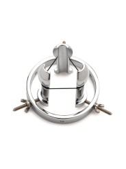 Master Series - Stainless Steel Anal Explorer