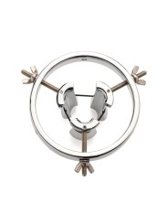Master Series - Stainless Steel Anal Explorer