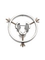Master Series - Stainless Steel Anal Explorer