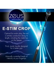 E-Stim Paddle