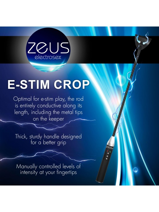 E-Stim Paddle
