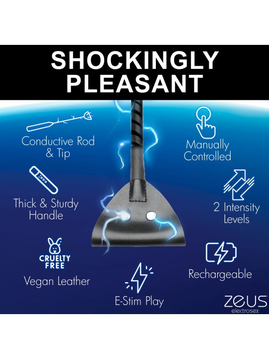 E-Stim Paddle
