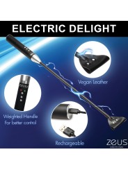 E-Stim Paddle