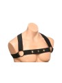 XR Brands - Chest Harness with Armbands - Black