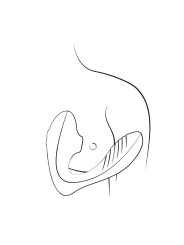 ROMP by Womanizer - Reverb Dubbel Plezier 2 in 1