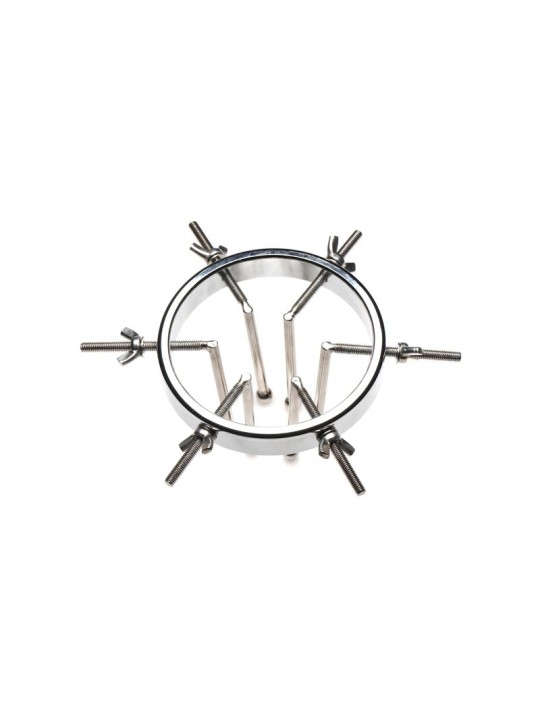 Oculus Roestvrij Stalen Buttplug