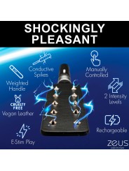 E-Stim Spiked Paddle