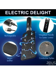 E-Stim Spiked Paddle