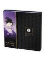 Shunga - Naughty Geisha Kit