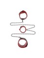 Sportsheets - Saffron Chained and Tamed