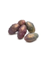 Creature Cocks - Deep Invader Tentacle Ovipositor Silicone Dildo with Eggs