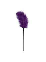 Easytoys Fetish - Purple Feather Tickler