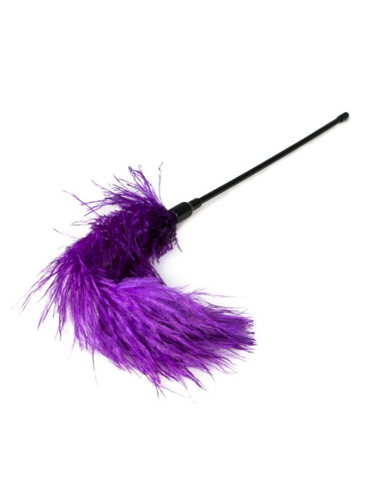 Easytoys Fetish - Purple Feather Tickler