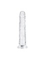 Jelly Dildo zonder ballen - 18 cm