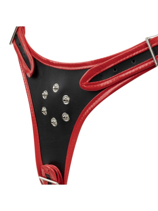 Easytoys Fetish - Triple Dildo Strap-On Harness