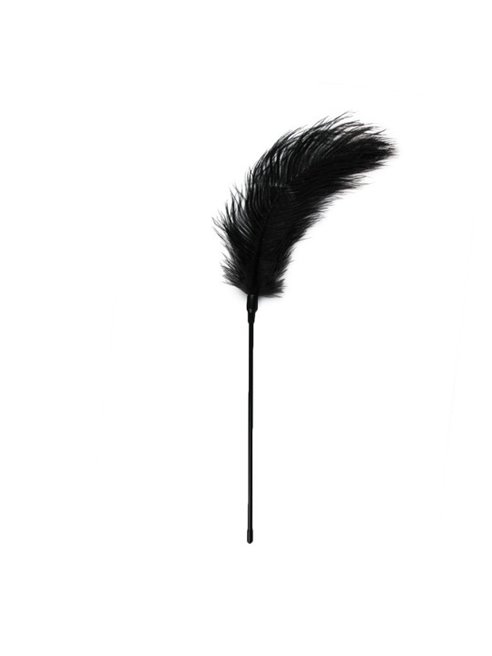 Easytoys Fetish - Black Feather Tickler