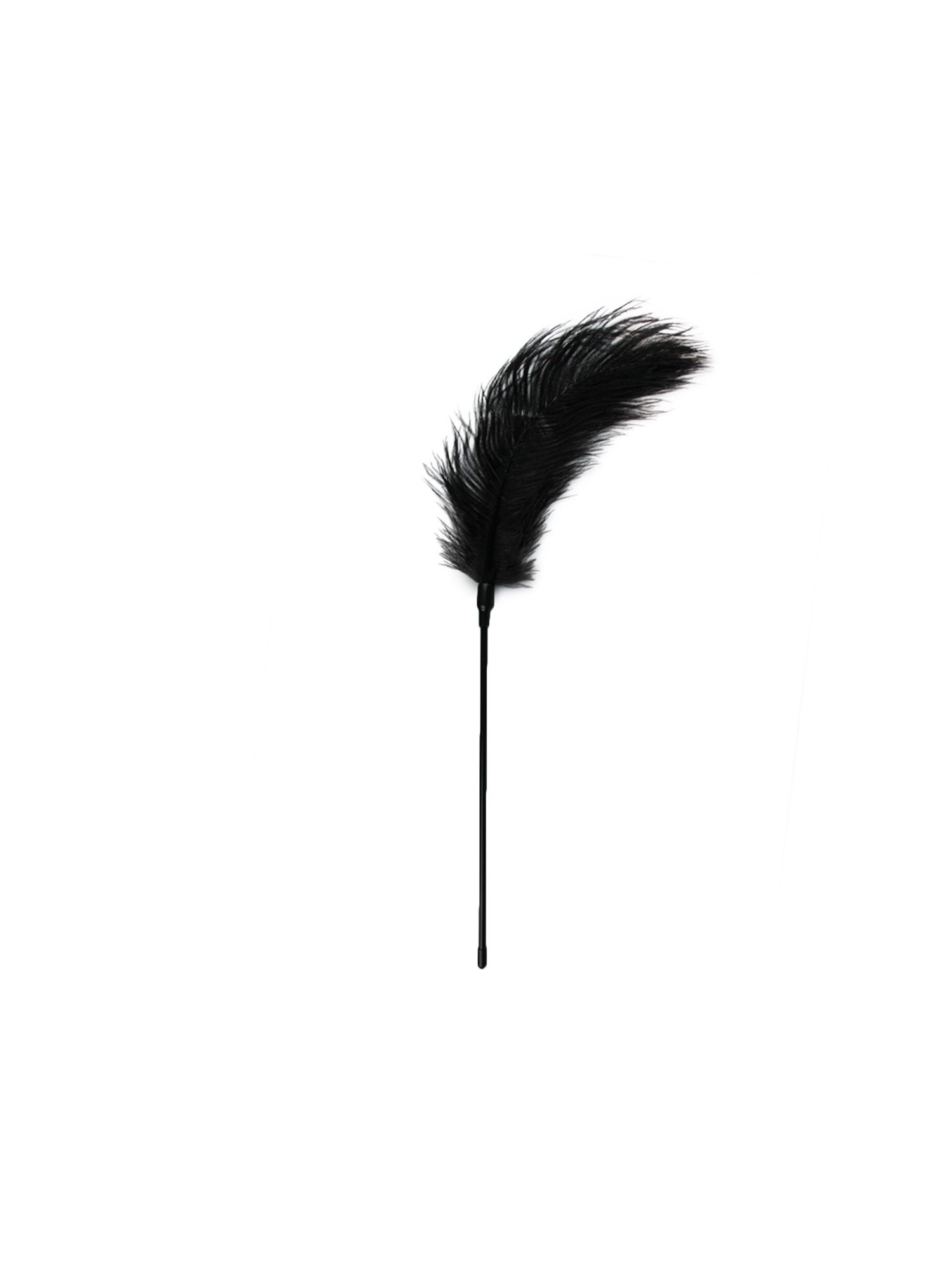 Easytoys Fetish - Black Feather Tickler