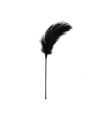 Easytoys Fetish - Black Feather Tickler