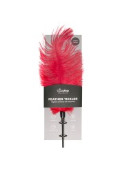 Easytoys Fetish - Red Feather Tickler