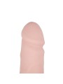 Mr. Limpy - Medium