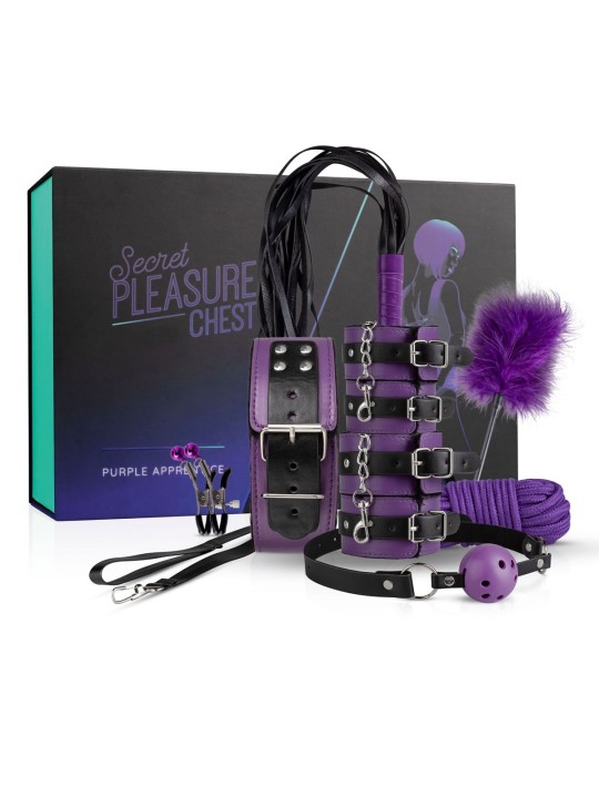 Secret Pleasure Chest X Bedroom fantasies - Purple Apprentice