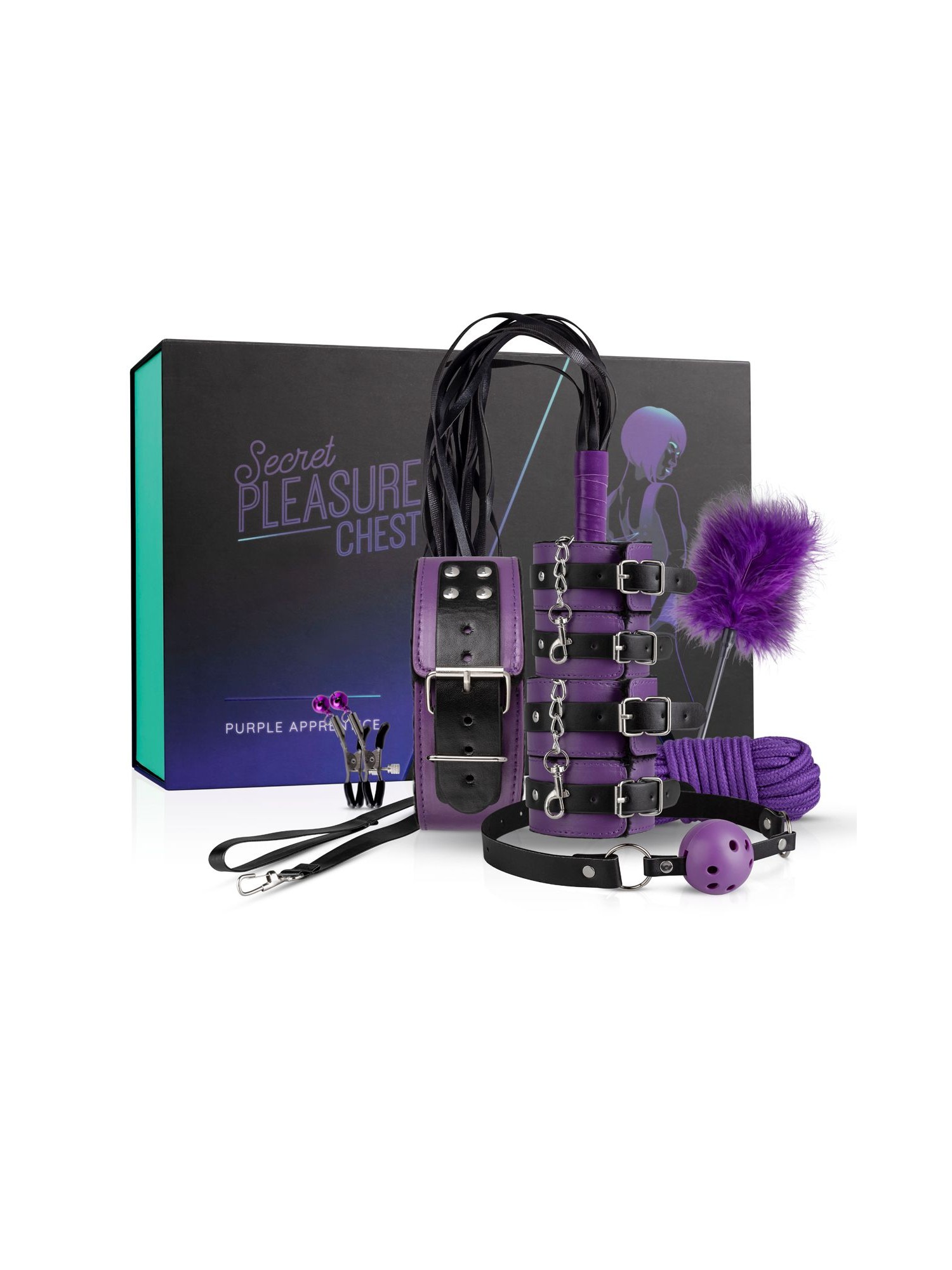 Secret Pleasure Chest X Bedroom fantasies - Purple Apprentice