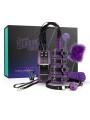 Secret Pleasure Chest X Bedroom fantasies - Purple Apprentice