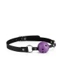 Secret Pleasure Chest X Bedroom fantasies - Purple Apprentice