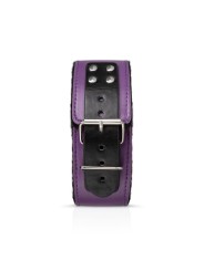 Secret Pleasure Chest X Bedroom fantasies - Purple Apprentice