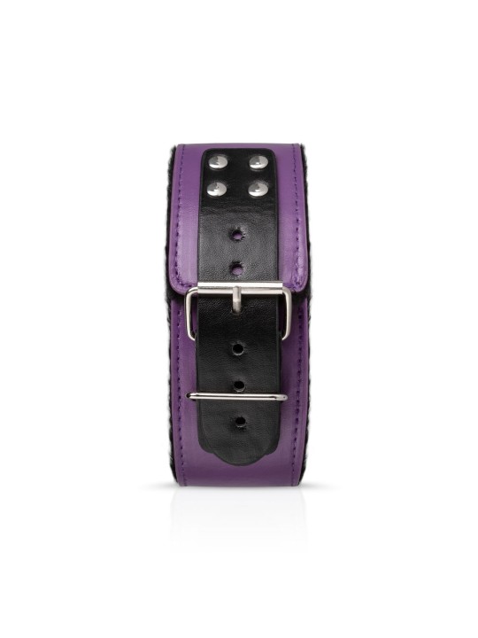 Secret Pleasure Chest X Bedroom fantasies - Purple Apprentice