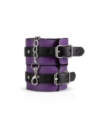 Secret Pleasure Chest X Bedroom fantasies - Purple Apprentice