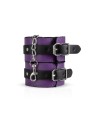 Secret Pleasure Chest X Bedroom fantasies - Purple Apprentice