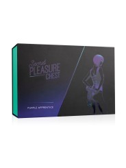 Secret Pleasure Chest X Bedroom fantasies - Purple Apprentice