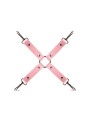 Secret Pleasure Chest X Bedroom Fantasies - Pink Pleasure