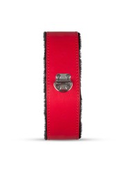 Secret Pleasure Chest X Bedroom fantasies - Red Dragon