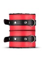 Secret Pleasure Chest X Bedroom fantasies - Red Dragon