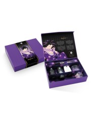 Shunga - Naughtier Kit for Couples