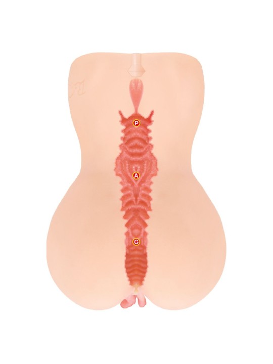 Kokos - Onahole Edition 001 Double Layer XL Masturbator