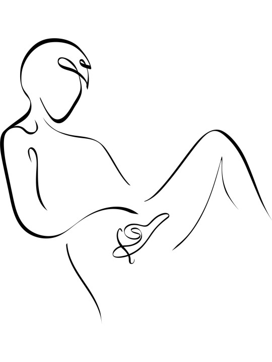 We-Vibe Nova 2