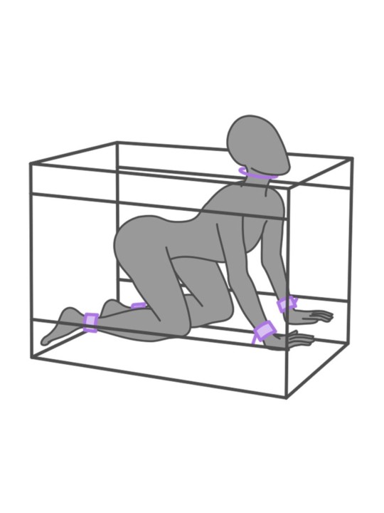 Secretdome – LA NICHE – Purple