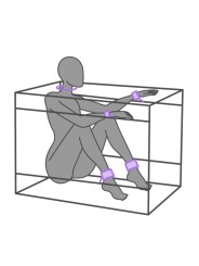 Secretdome – LA NICHE – Purple